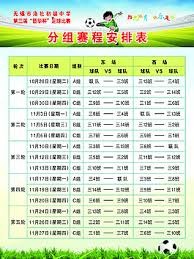 2026世界杯赛事与高温天气完美结合的居家观赛攻略